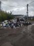 Новгородский «Горхоз» вывез мусор с несанкционированных свалок