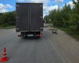 Электросамокатчик устроил ДТП под Великим Новгородом и скрылся