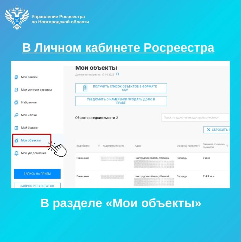 Управление Росреестра по Новгородской области рекомендует собственникам заранее проверить сведения о своей недвижимости в ЕГРН Управление Росреестра по Новгородской области рекомендует собственникам заранее проверить сведения о своей недвижимости в ЕГРН