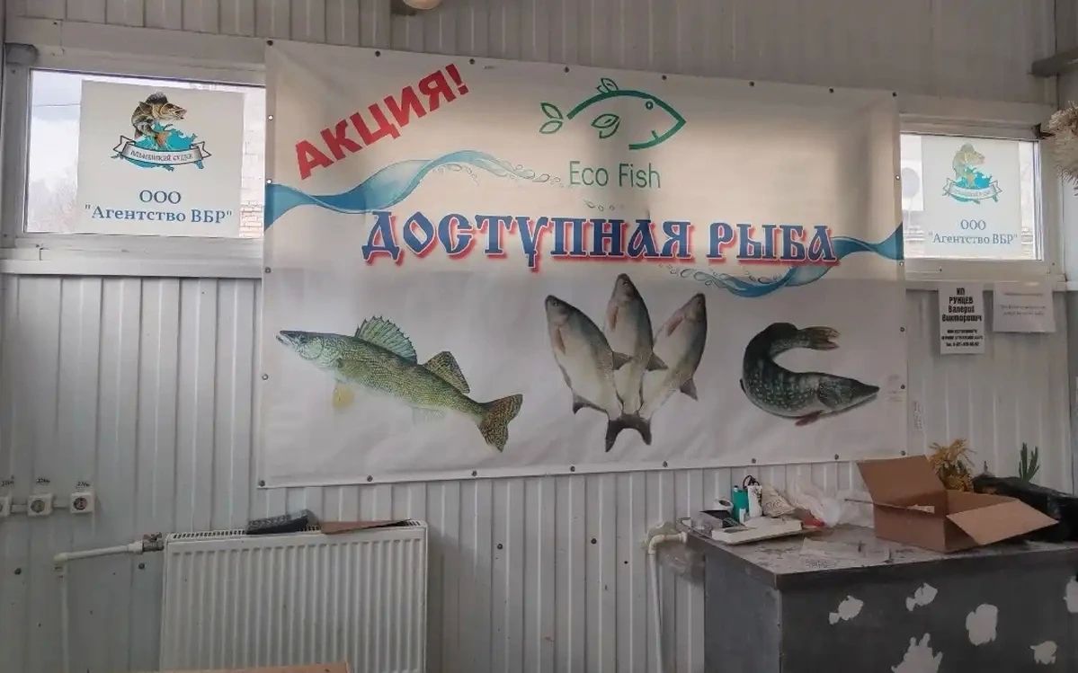 Щуку, судака и леща из Ильменя смогут купить новгородцы по сниженным ценам