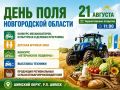 На Дне поля в Шимске пройдёт выставка лучших сортов картофеля и овощей