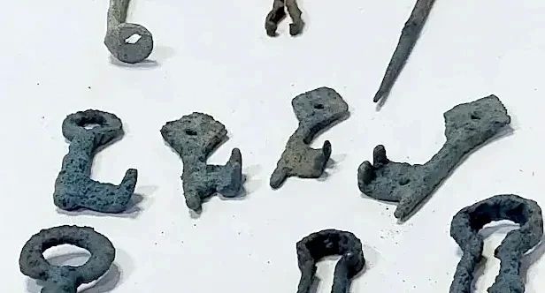 В Великом Новгороде археологи обнаружили уникальные зооморфные украшения В Великом Новгороде археологи обнаружили уникальные зооморфные украшения
