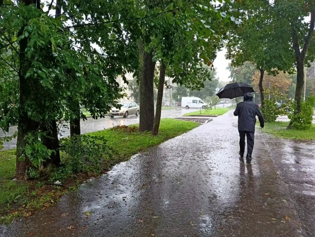 В Новгородской области произошли массовые отключения электроэнергии