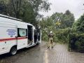 Новгородские коммунальщики устраняют последствия бури