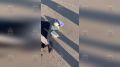 �� ������ ��� ������� ���������� ������� �������� ������� 3 �� �������������� ��������� � �����������