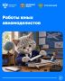 Сегодня отмечается День авиамоделиста