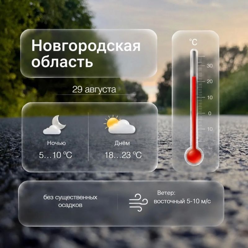 Погода в Новгородской области на сегодня, 29 августа