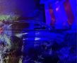 В Новгородском округе водитель иномарки врезался в дом и сбежал с места ДТП