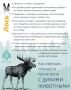 В Новгородской области продолжается сезон сбора грибов и ягод