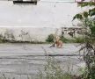 �� ������ �������� ��������� ����� ���������� ����