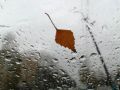 Ливни и грозы возвращаются в Новгородскую область