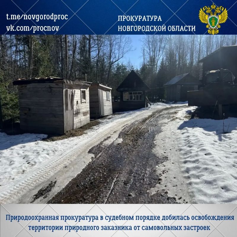 В Мошенском округе арендатор самовольно разместил постройки на землях, в том числе природного заказника «Редровский»