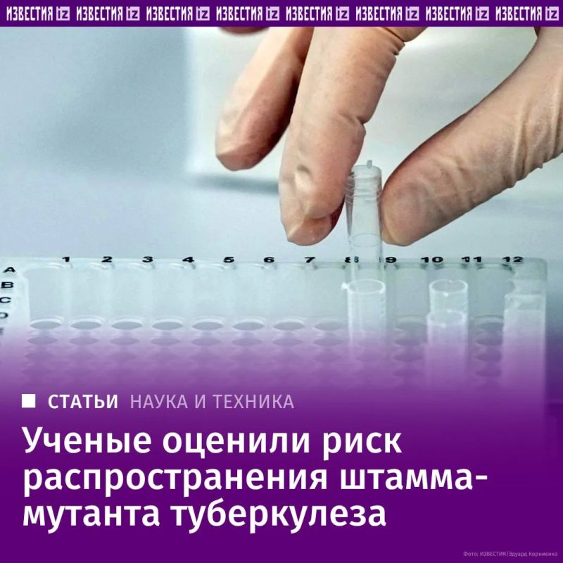 Генотип устойчивых к антибиотикам бактерий туберкулеза SIT266 может широко распространиться в нашей стране, считают российские ученые