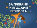 Где один гриб, там и другой…
