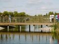 В новгородском парке «Чистые пруды» построили уникальный мост