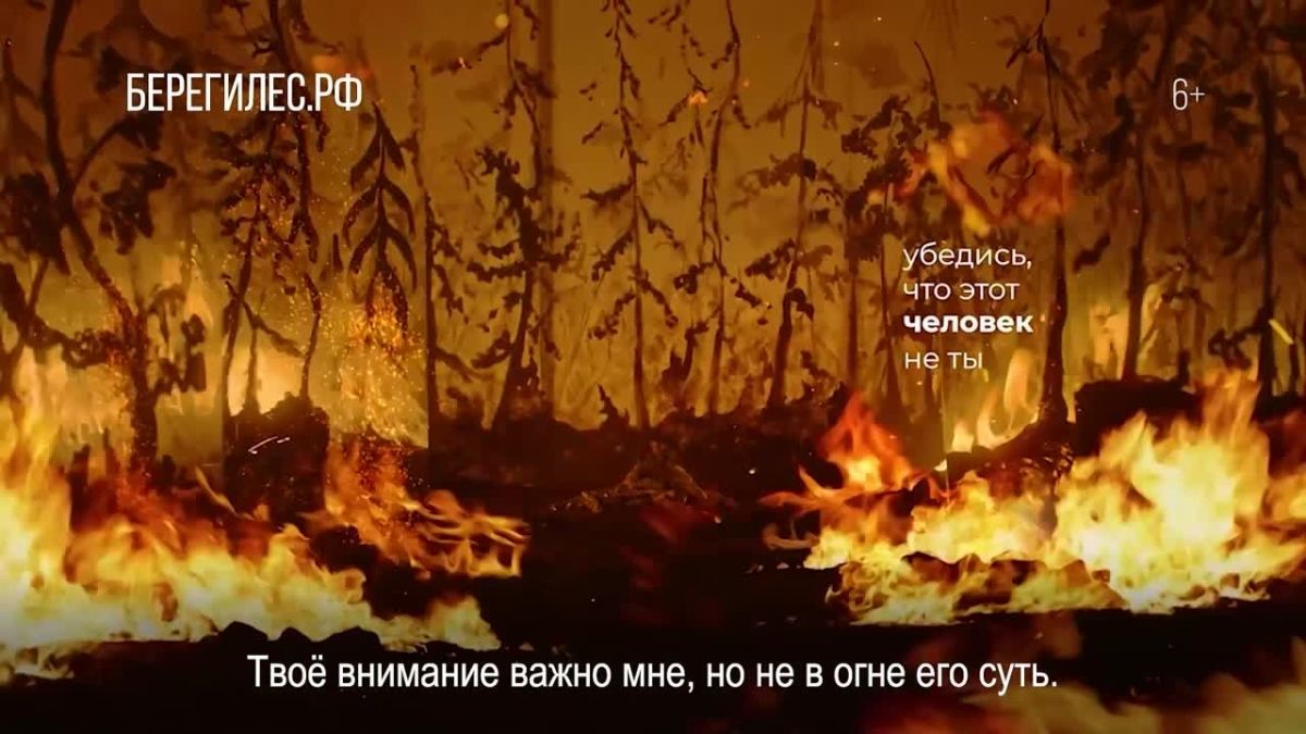 90% лесных пожаров возникают по вине человека