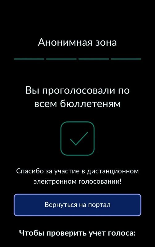 Участник СВО Анатолий Севостьянов проголосовал на выборах с помощью ДЭГ