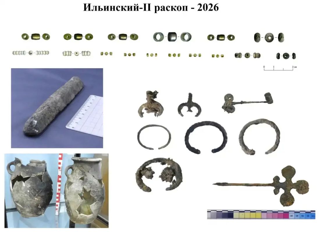 В древнем некрополе в Старой Руссе нашли 14 погребений в обёрнутых берестой гробовищах В древнем некрополе в Старой Руссе нашли 14 погребений в обёрнутых берестой гробовищах