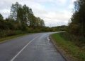 С дорог в Новгородской области убирают поваленные ветром деревья