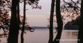 #архив_ТАСС_Северо_Запад. Природа Новгородской области
