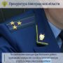 В Батецком округе в текущем году зафиксированы отключения электроэнергии на срок более 24 часов подряд