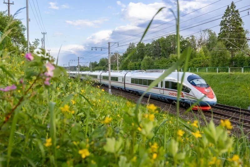 Главгосэкспертиза одобрила строительство участка ВСМ от Великого Новгорода до Валдая
