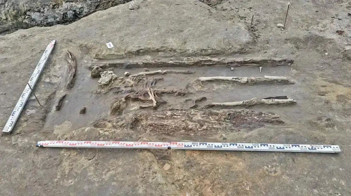 В Старой Руссе обнаружили древний некрополь