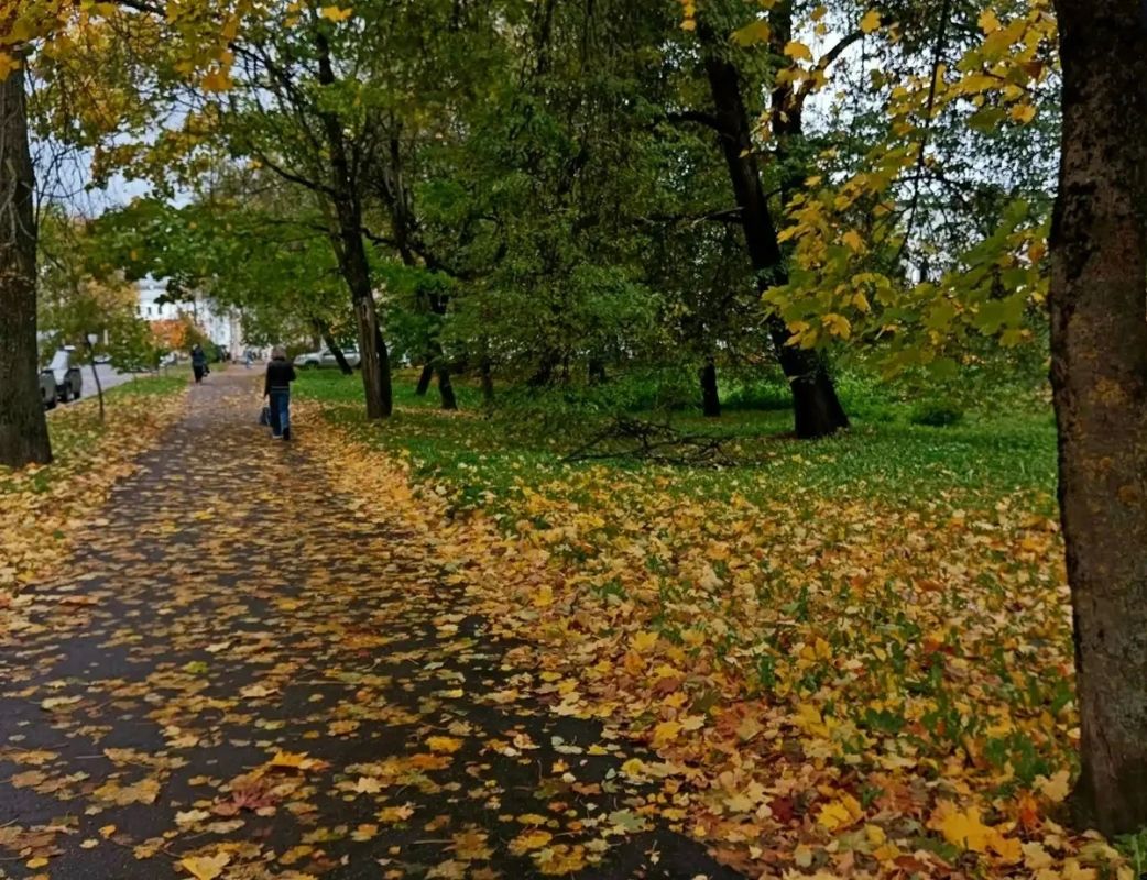 Циклон с Балтийского моря принесёт в Новгородскую область дожди