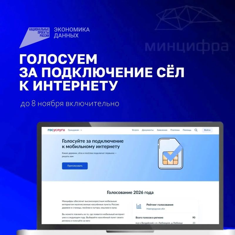 Жители Новгородской области выбирают населённые пункты, где подключат интернет в 2027 году