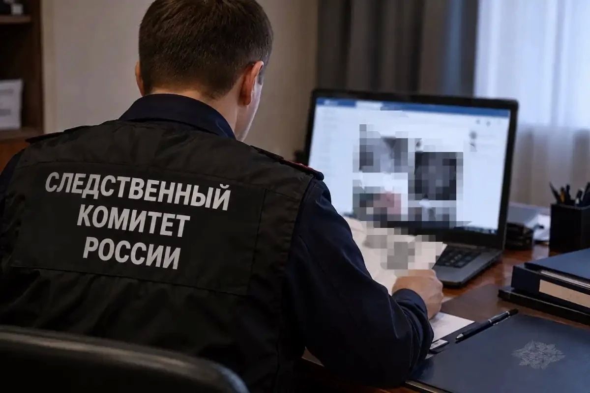 Отца и сына из Чудовского округа обвиняют в демонстрации экстремистской символики в соцсети