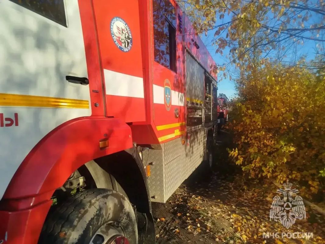 Пожарно-спасательные подразделения ликвидировали пожар в городе Сольцы Пожарно-спасательные подразделения ликвидировали пожар в городе Сольцы