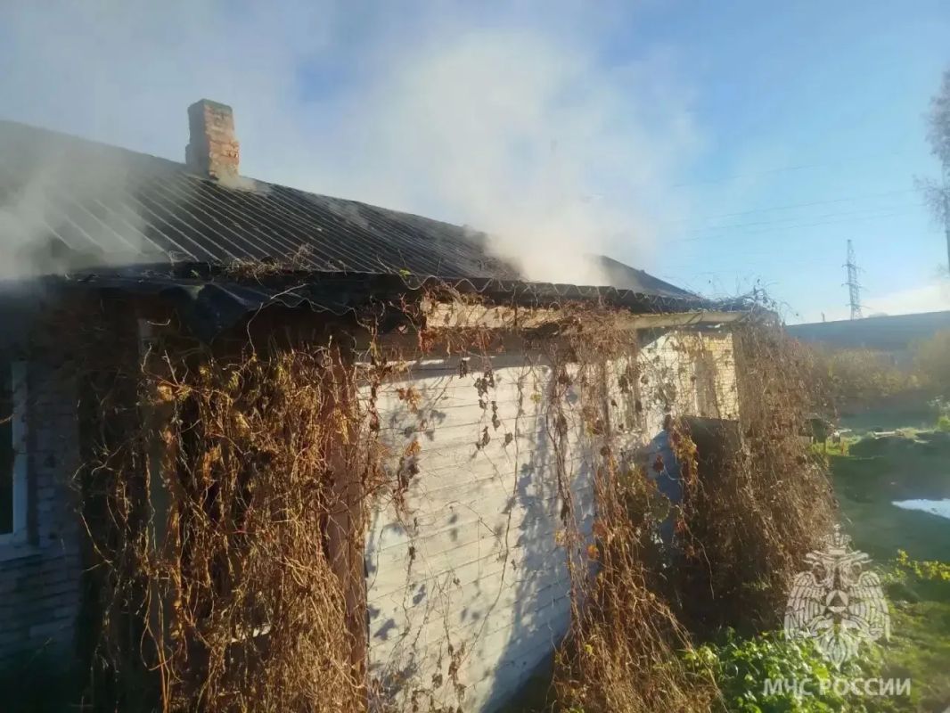 Пожарно-спасательные подразделения ликвидировали пожар в городе Сольцы Пожарно-спасательные подразделения ликвидировали пожар в городе Сольцы