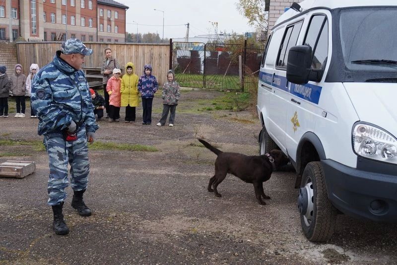 Боровичские школьники познакомились с работой полицейских-кинологов Боровичские школьники познакомились с работой полицейских-кинологов