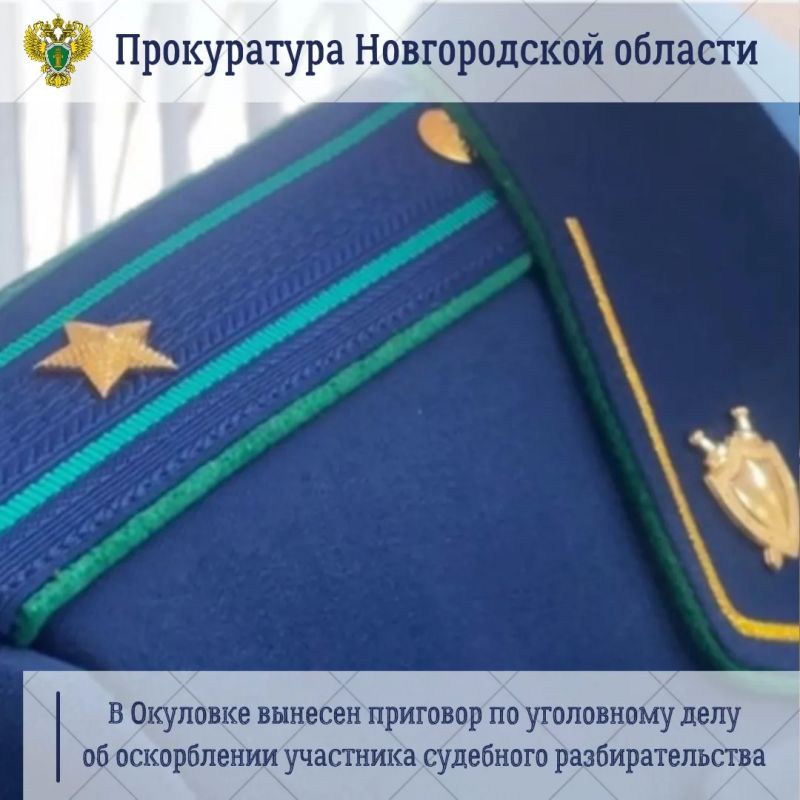 В Окуловке 44-летний местный житель Роман Рудзитис, в отношении которого мировой судья рассматривал дело о привлечении его к ответственности за угрозу убийством, публично оскорбил потерпевшую, давая унизительную оценку ее...