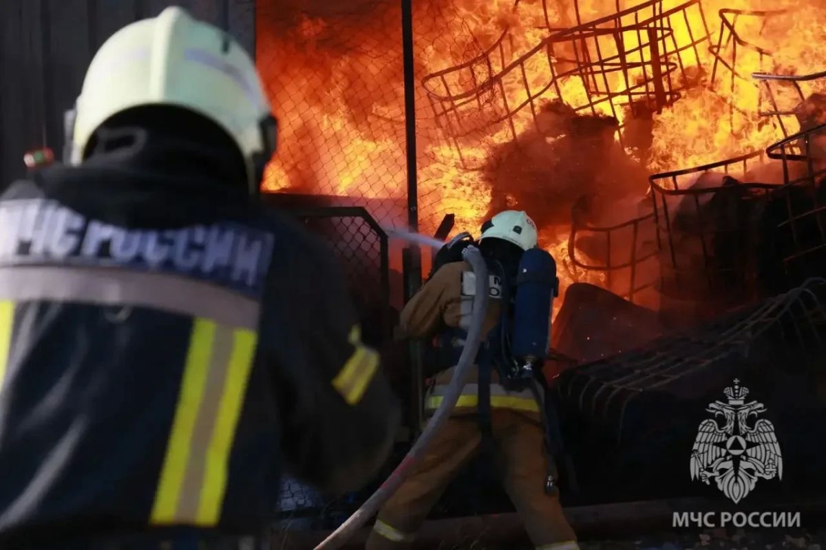 МЧС опубликовало фото пожара на улице Большой Санкт-Петербургской