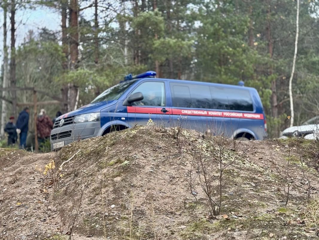 В Малой Вишере вынесен приговор женщине за причинение смерти по неосторожности